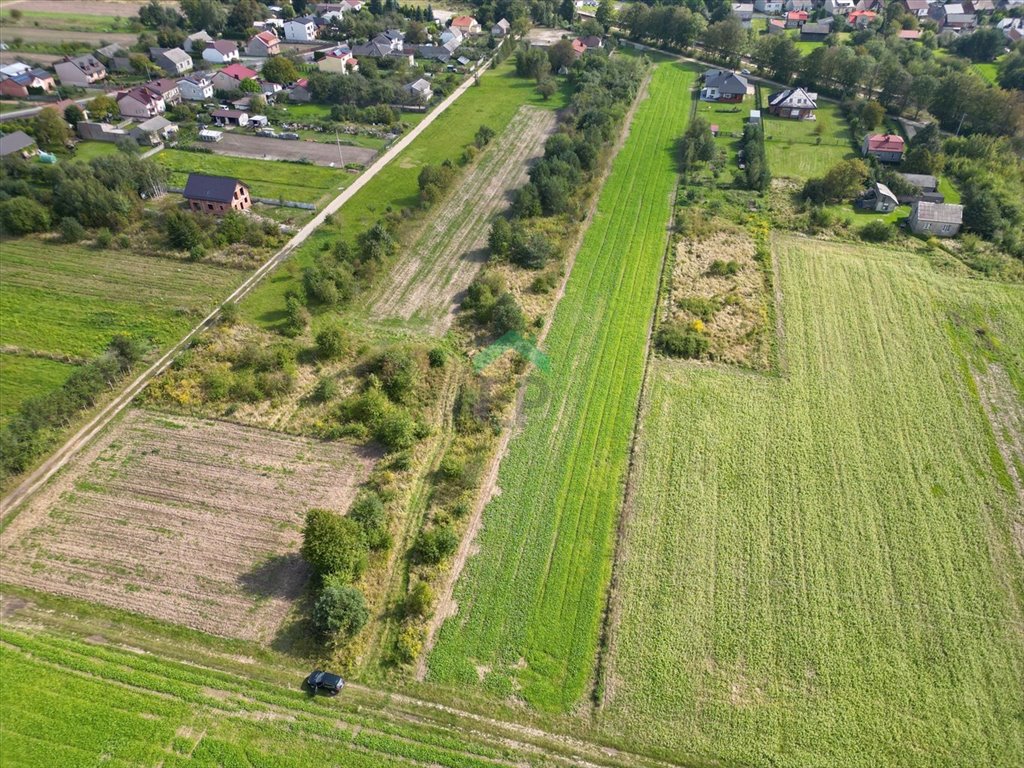 Działka inna na sprzedaż Rzerzęczyce  650m2 Foto 4