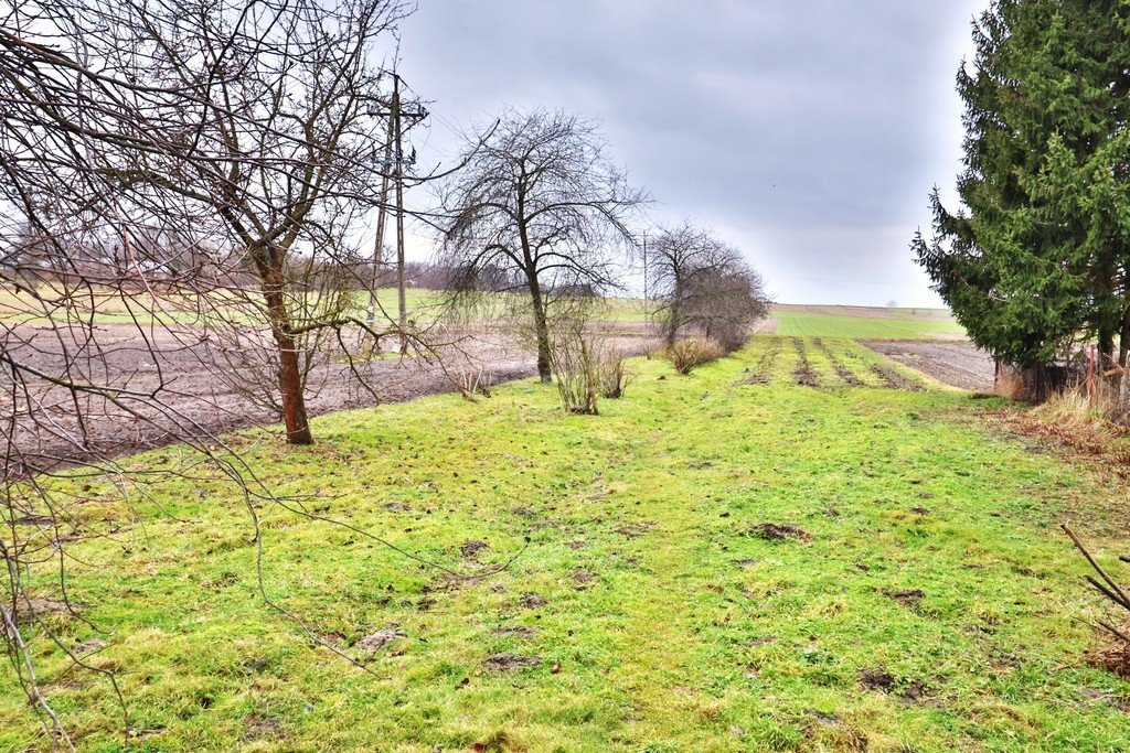 Działka inna na sprzedaż Siedliszcze  2 310m2 Foto 4