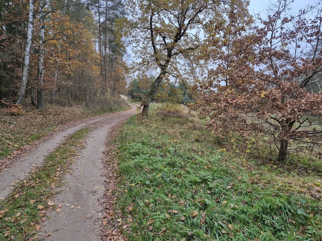 Działka budowlana na sprzedaż Chłopowo  20 400m2 Foto 5