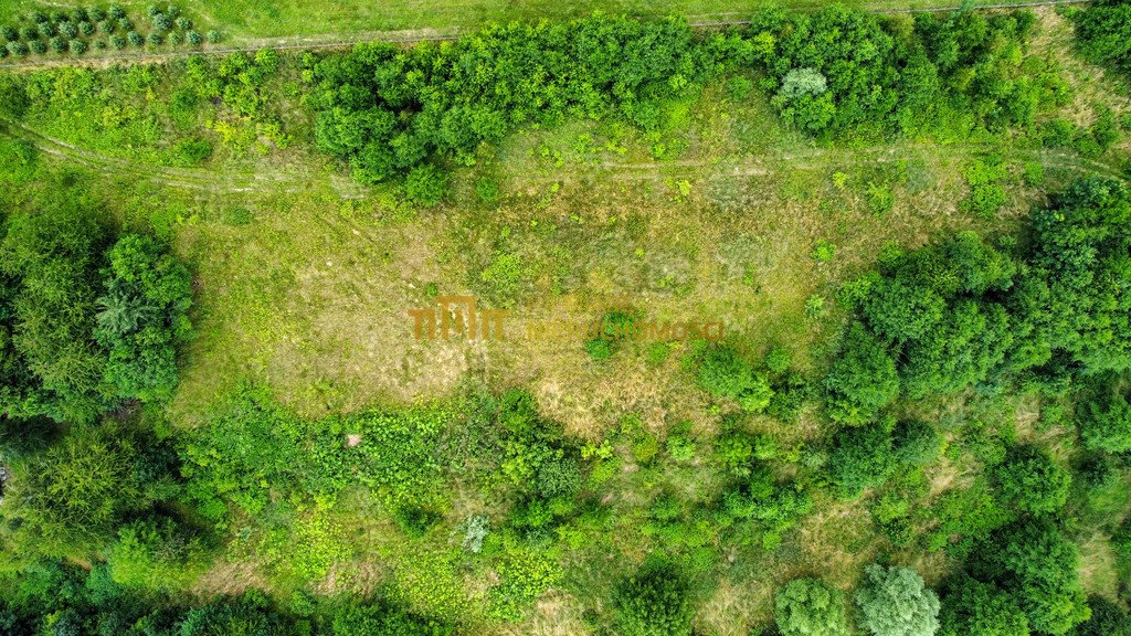 Działka budowlana na sprzedaż Siedliska  6 700m2 Foto 3