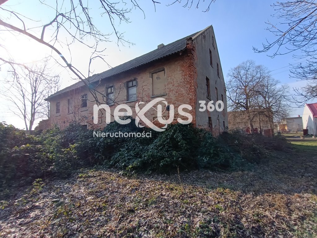 Lokal użytkowy na sprzedaż Dąbrowa  1 230m2 Foto 4