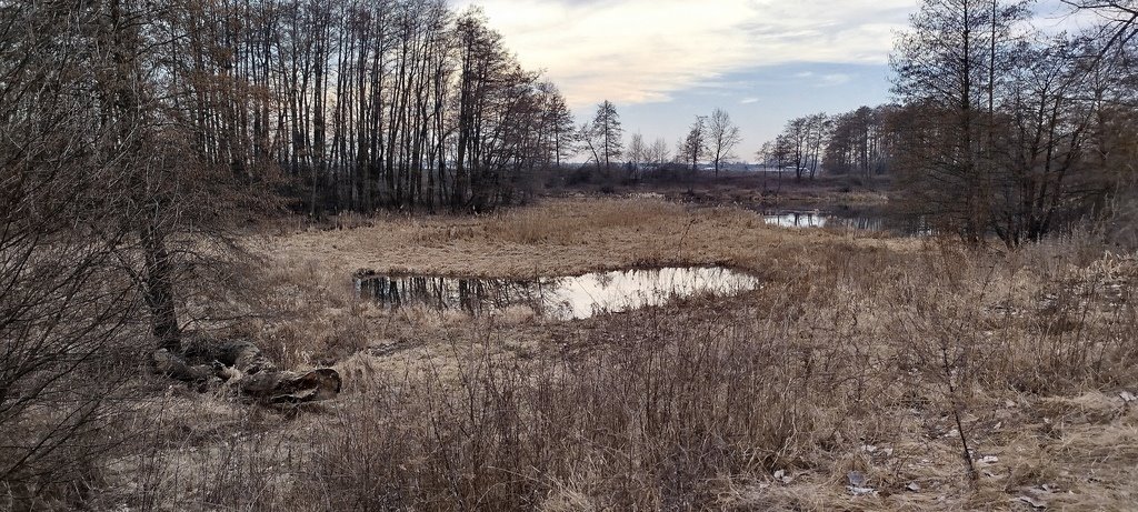 Działka budowlana na sprzedaż Śniadków Górny A  33 800m2 Foto 11
