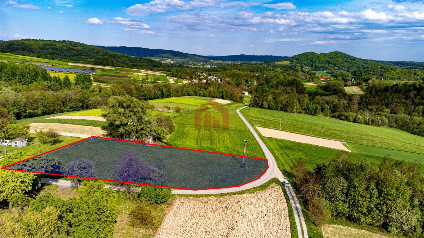 Działka budowlana na sprzedaż Jodłowa  2 700m2 Foto 4