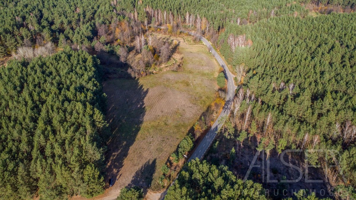 Działka rekreacyjna na sprzedaż Grądy Szlacheckie  15 400m2 Foto 4