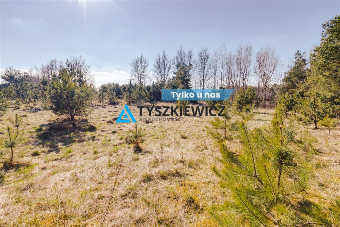 Działka rekreacyjna w Kaszubach, 1080 m², blisko jeziora Żukówko  1 080m2 Foto 1