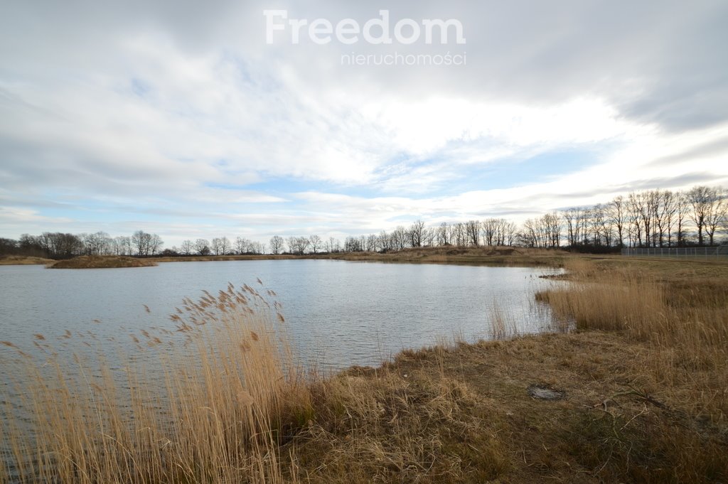 Działka inwestycyjna na sprzedaż Brzeziny  520 000m2 Foto 18