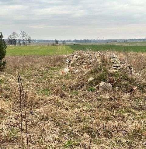 Działka budowlana na sprzedaż Ligota Polska  2 000m2 Foto 6