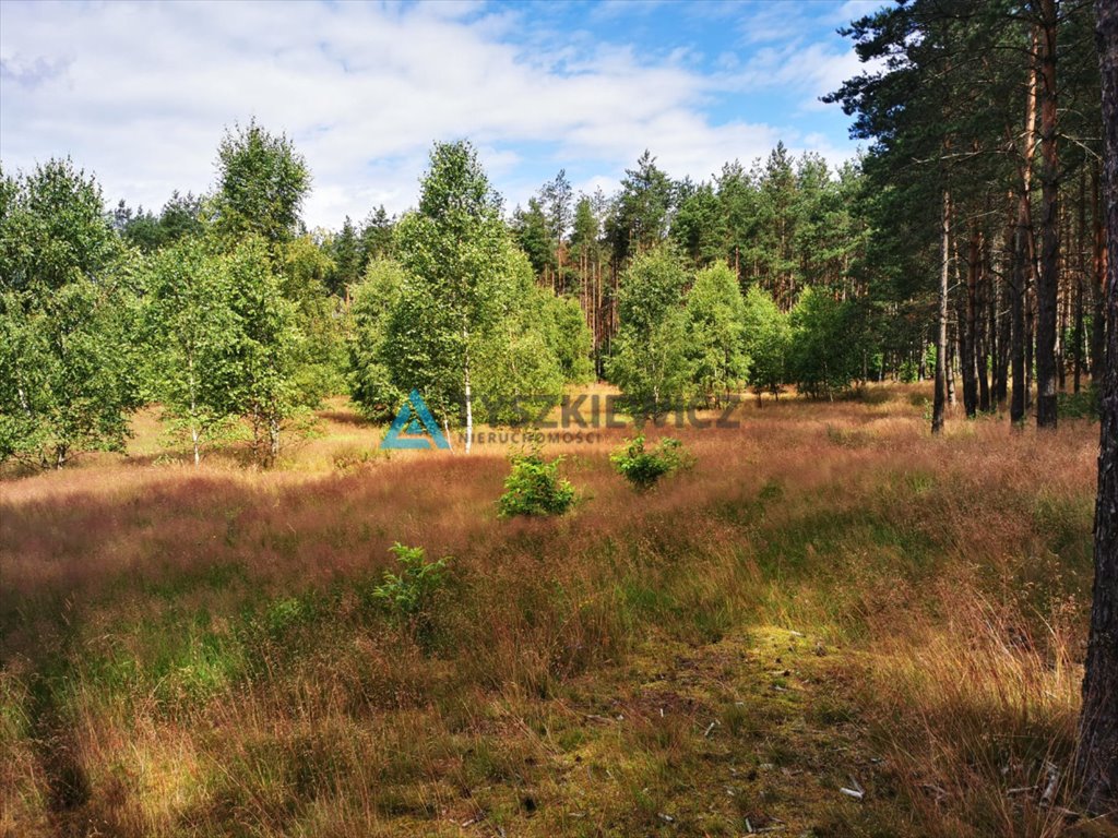 Działka przemysłowo-handlowa na sprzedaż Wygonin  1 998m2 Foto 4