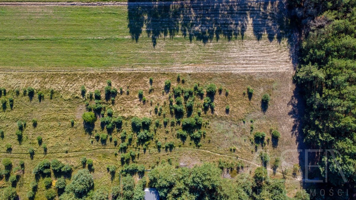 Działka rekreacyjna na sprzedaż Michałowo  9 500m2 Foto 8