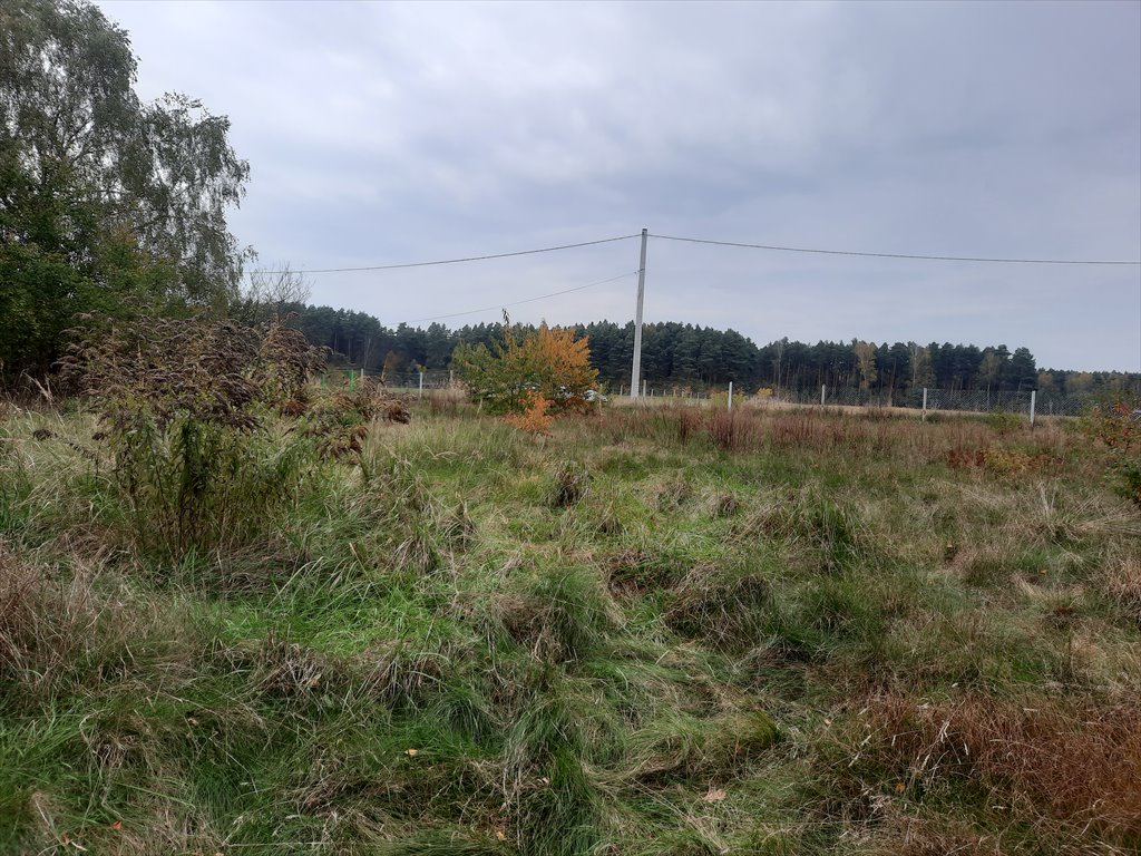 Działka budowlana na sprzedaż Kalety, Mokrus, Ks.Antosza  3 750m2 Foto 1