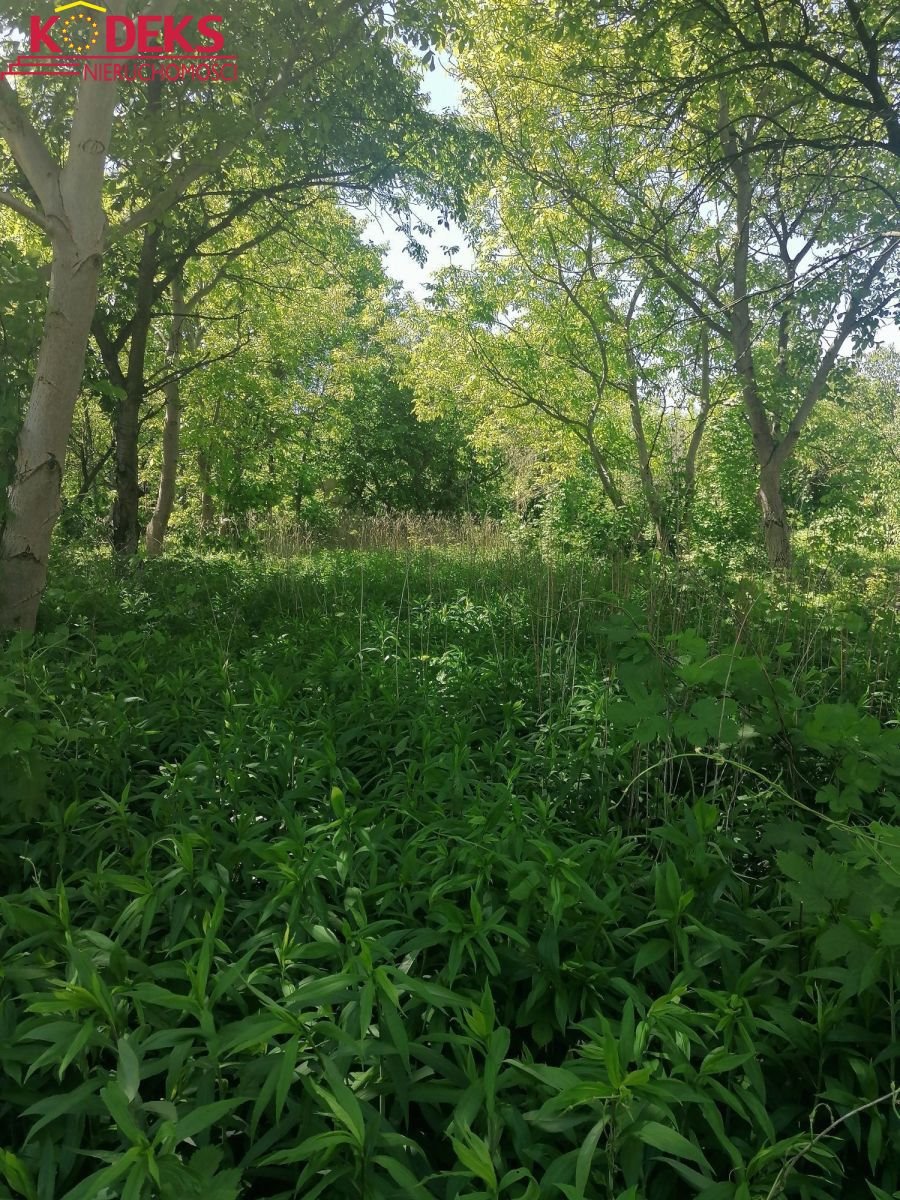 Działka budowlana na sprzedaż Jabłonna  3 220m2 Foto 4