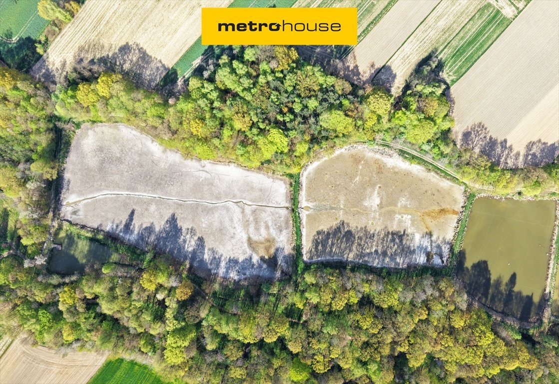 Działka z stawami i lasem w Witkowicach (2,75 ha) Witkowice  31 750m2 Foto 1
