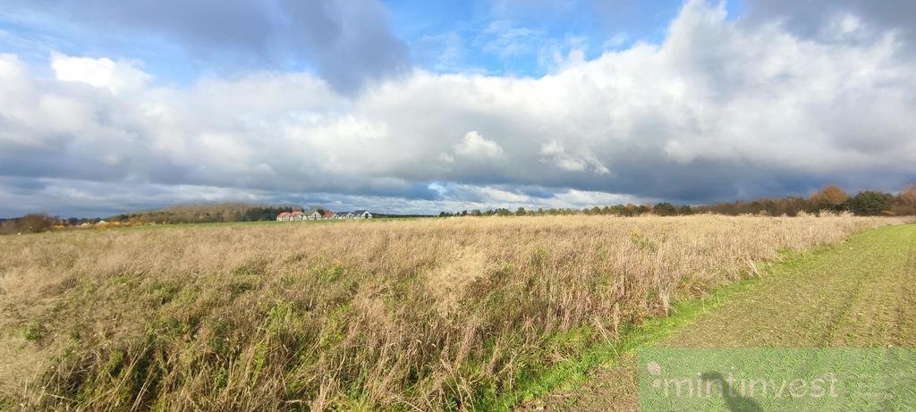 Działka budowlana na sprzedaż Goleniów  1 400m2 Foto 7