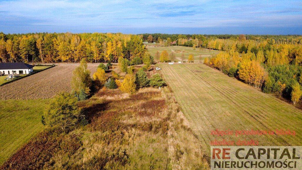 Działka 3750 m² w Borzęcinie Dużym – cisza, przyroda, podział Borzęcin Duży  3 750m2 Foto 1