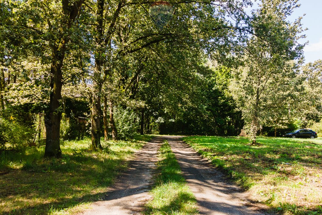 Działka budowlana na sprzedaż Zofiówka  1 815m2 Foto 18