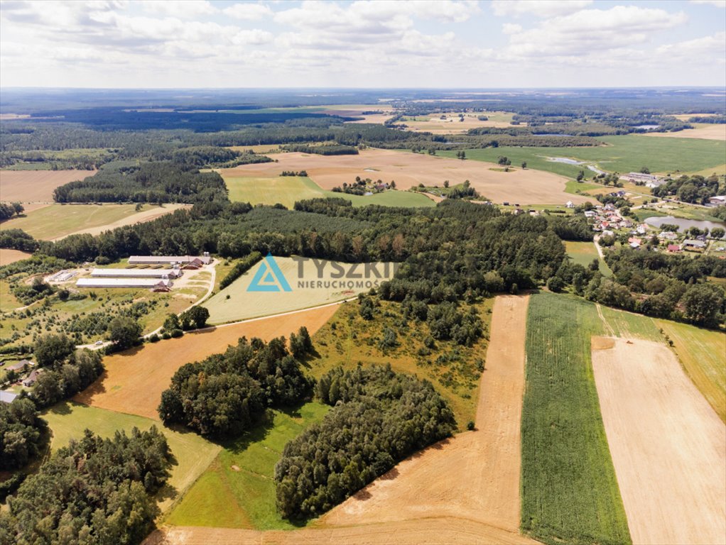 Działka rolna na sprzedaż Czarna Dąbrówka, Kaszubska  30 100m2 Foto 4