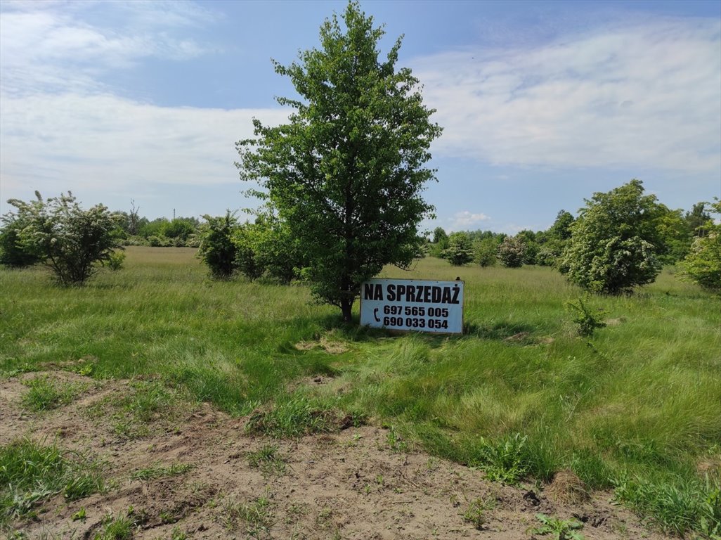 Malownicza działka nad rzeką Wkrą w Pomiechowie - polecam! Pomiechowo  1 522m2 Foto 1