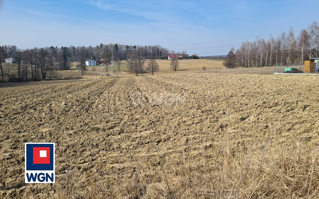 Działka budowlana na sprzedaż Skoczów, Simoradz  2 050m2 Foto 9