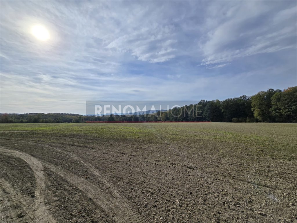 Działka gospodarstwo rolne na sprzedaż Sobótka, Tąpadła  90 500m2 Foto 9