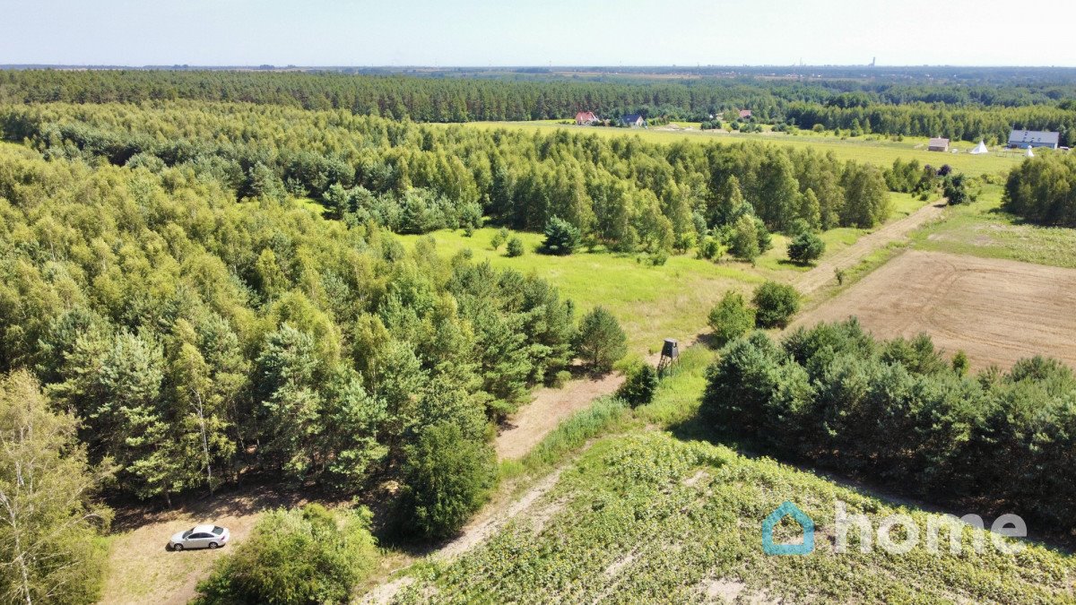 Do sprzedania działka 3000 m² w Pęgowie z lasem i możliwością budowy Pęgów  3 000m2 Foto 1
