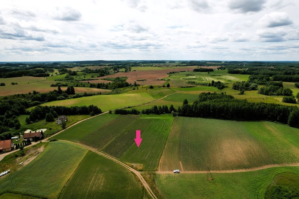 Działka rolna na sprzedaż Bartosze  3 500m2 Foto 8