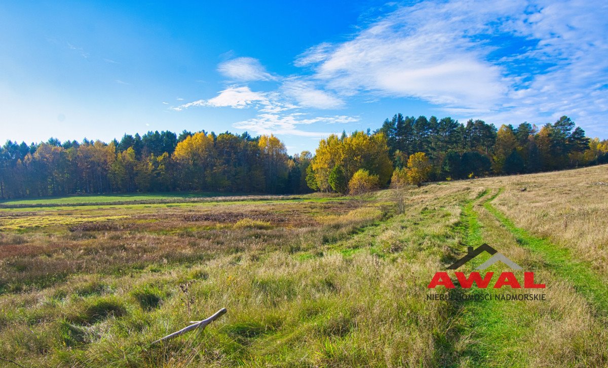 Działka budowlana na sprzedaż Leśniewo, Glinne Pole  1 001m2 Foto 9