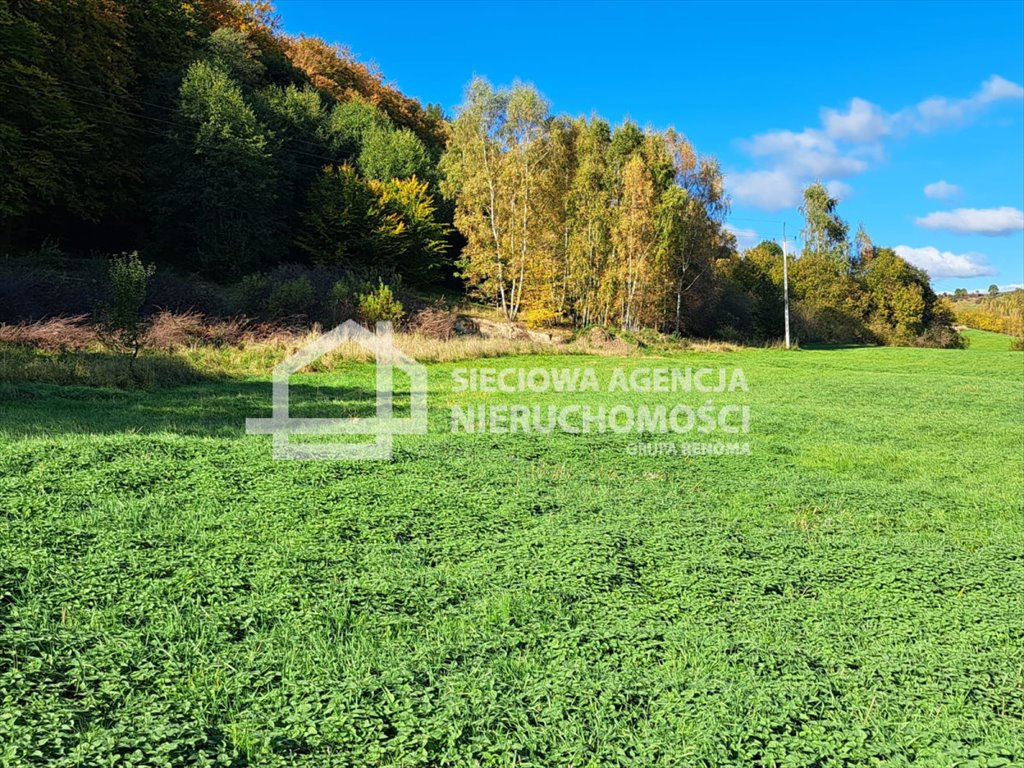 Działka rolna na sprzedaż Rąty  31 000m2 Foto 5