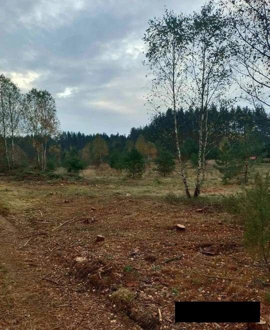 Działka budowlana na sprzedaż Gdańsk, Orunia-Św. Wojciech-Lipce  42 000m2 Foto 9