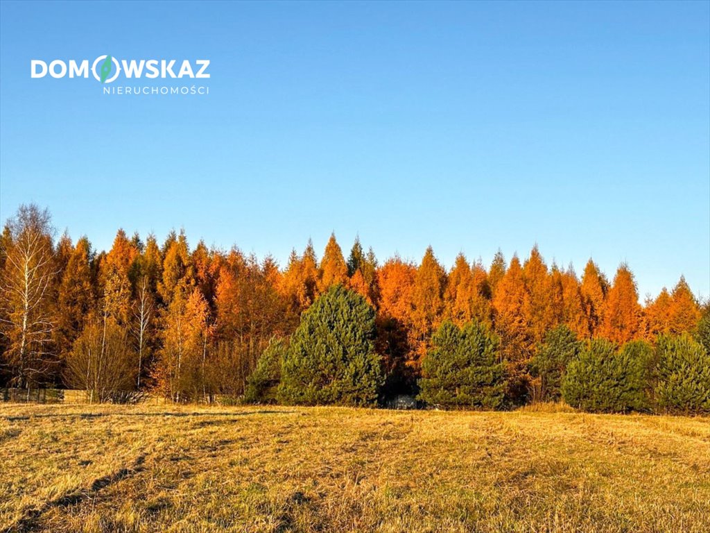 Działka przemysłowo-handlowa na sprzedaż Choroń, Częstochowska  16 000m2 Foto 9