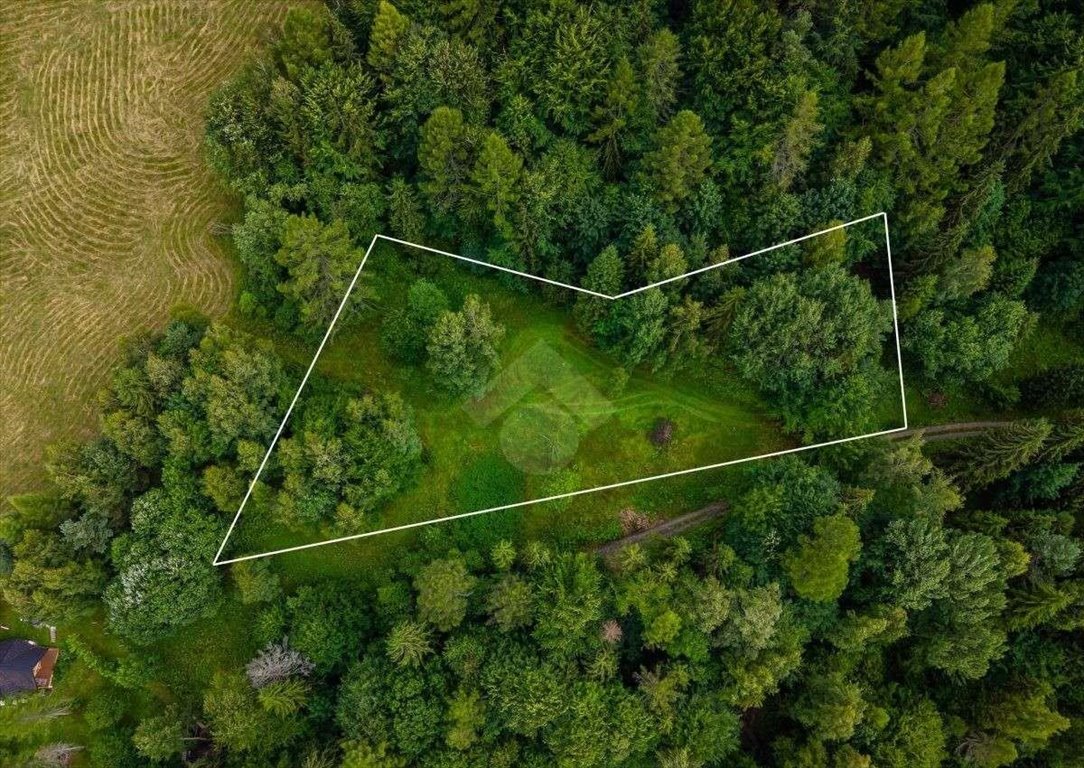 Działka rolna 30 arów w Żegiestowie - spokój i natura. Żegiestów  3 000m2 Foto 1