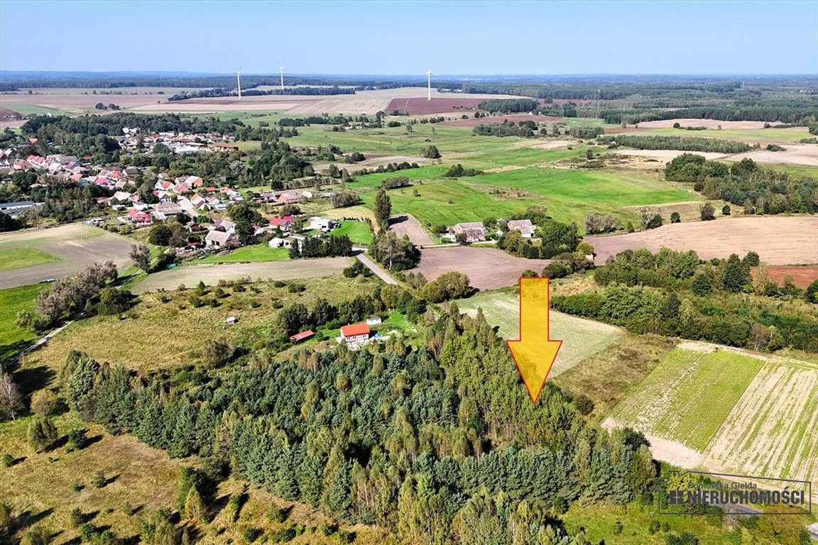 Działka budowlana na sprzedaż Krosino  3 057m2 Foto 6