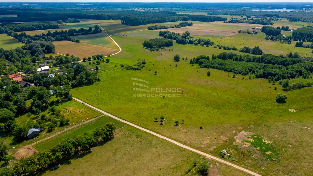 Działka rolna na sprzedaż Mieleszki-Kolonia  3 003m2 Foto 9