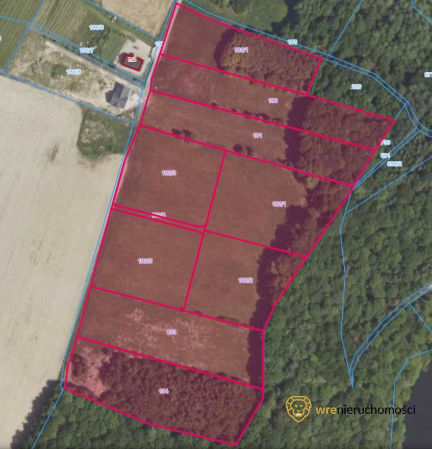 Działka budowlana na sprzedaż Kałużna  54 700m2 Foto 1