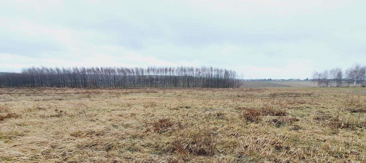 Działka siedliskowa na sprzedaż Wola Kalinowska, ul. Kaliski  3 600m2 Foto 5