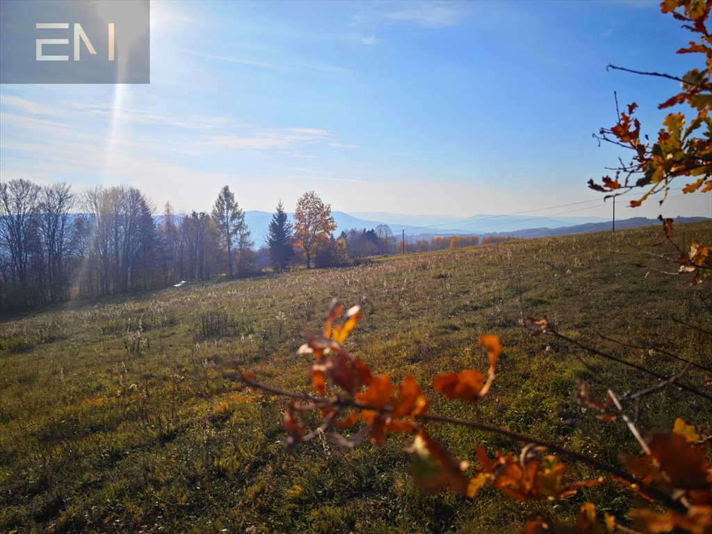 Działka budowlana na sprzedaż Lutcza  7 000m2 Foto 5