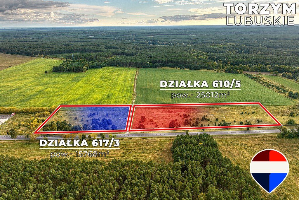 Działka inwestycyjna 40,78 ha przy DK92 – potencjał! Torzym, Strażacka  40 780m2 Foto 1