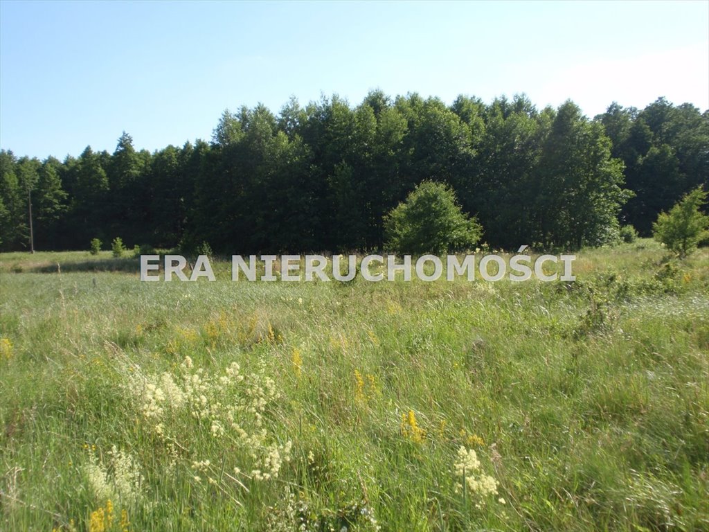 Polecam dużą działkę 5767 m² pod zabudowę w Karakule Karakule  5 767m2 Foto 1