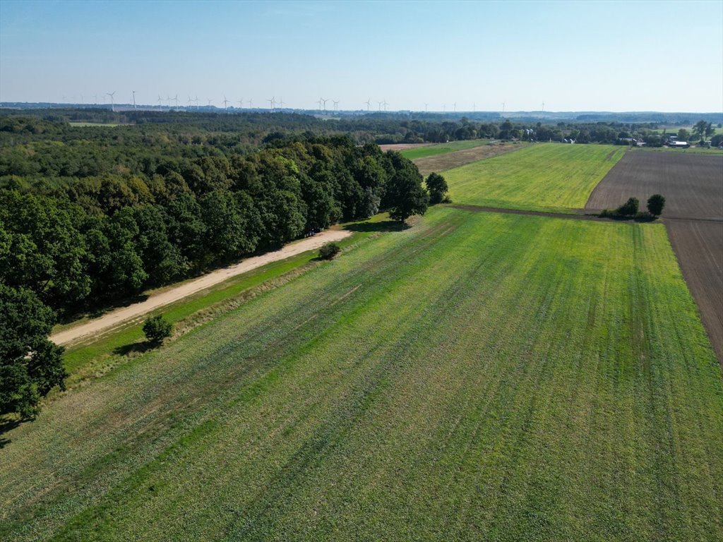 Działka budowlana na sprzedaż Łącko  20 900m2 Foto 2