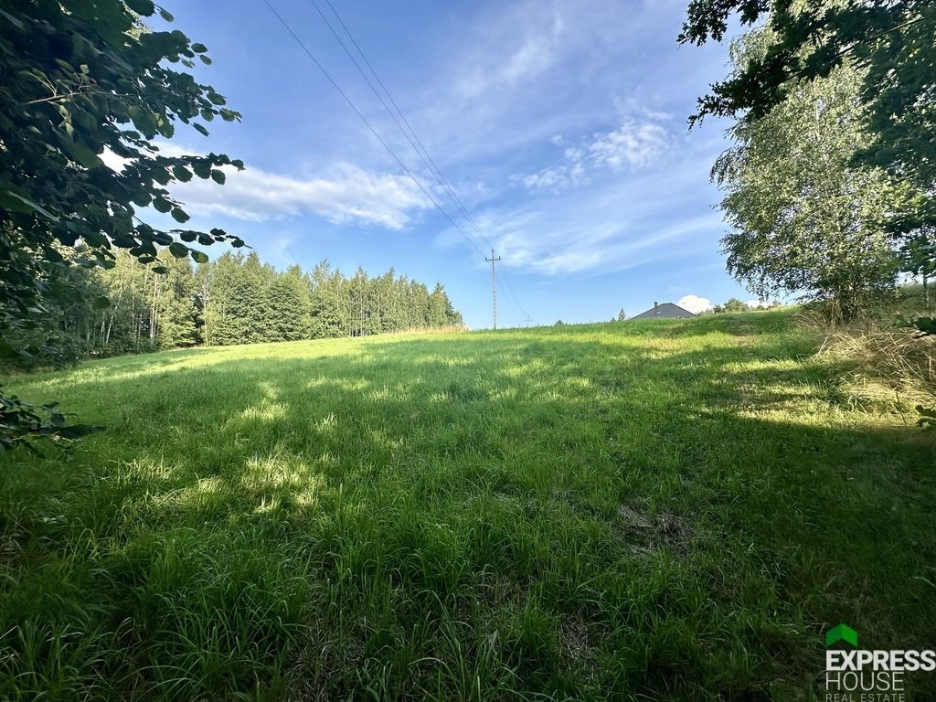 Działka budowlana na sprzedaż Lipowa, Promienna  1 750m2 Foto 3