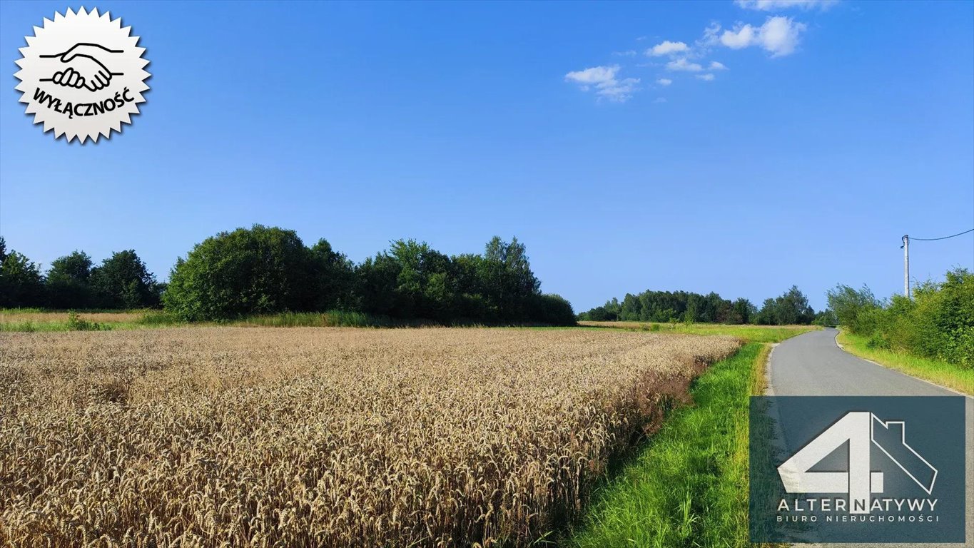 Na sprzedaż działka budowlana 19 ar z widokiem w Szarwarku Szarwark  1 900m2 Foto 1
