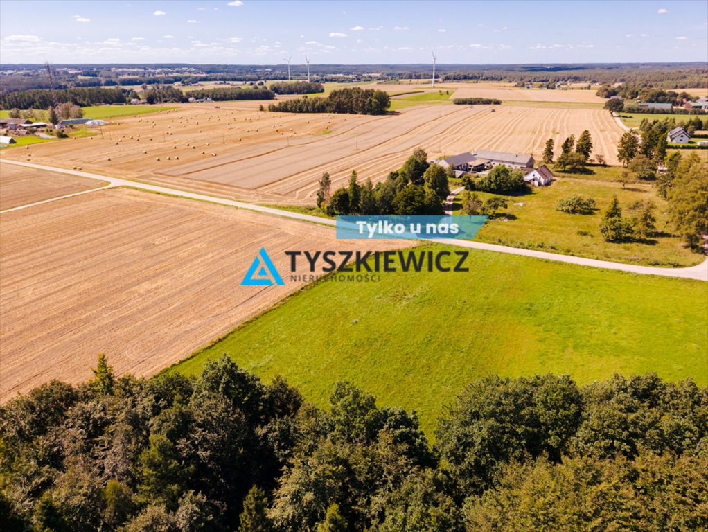 Zdjęcie 3