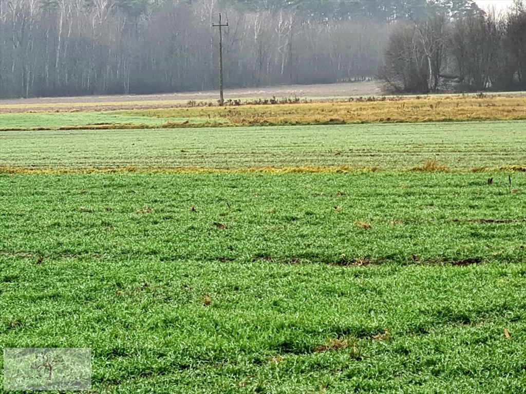 Działka budowlana na sprzedaż Gajówka, Gajówka  4 500m2 Foto 9