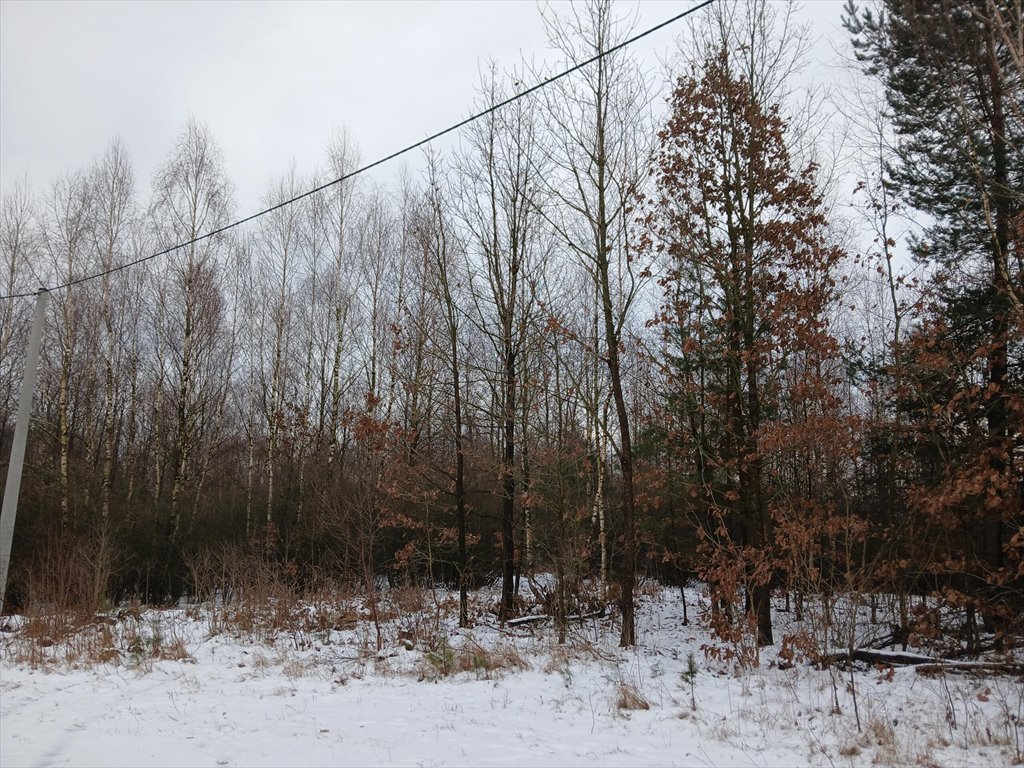 Działka budowlana na sprzedaż Chrusty, Laskowa  810m2 Foto 2