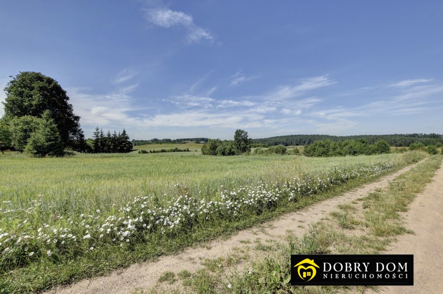 Działka rolna na sprzedaż Jałowo  30 000m2 Foto 17