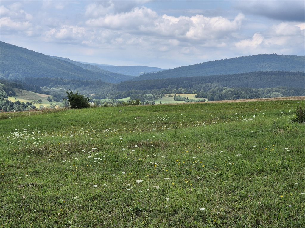 Działka rolna na sprzedaż Posada Jaśliska  9 300m2 Foto 12