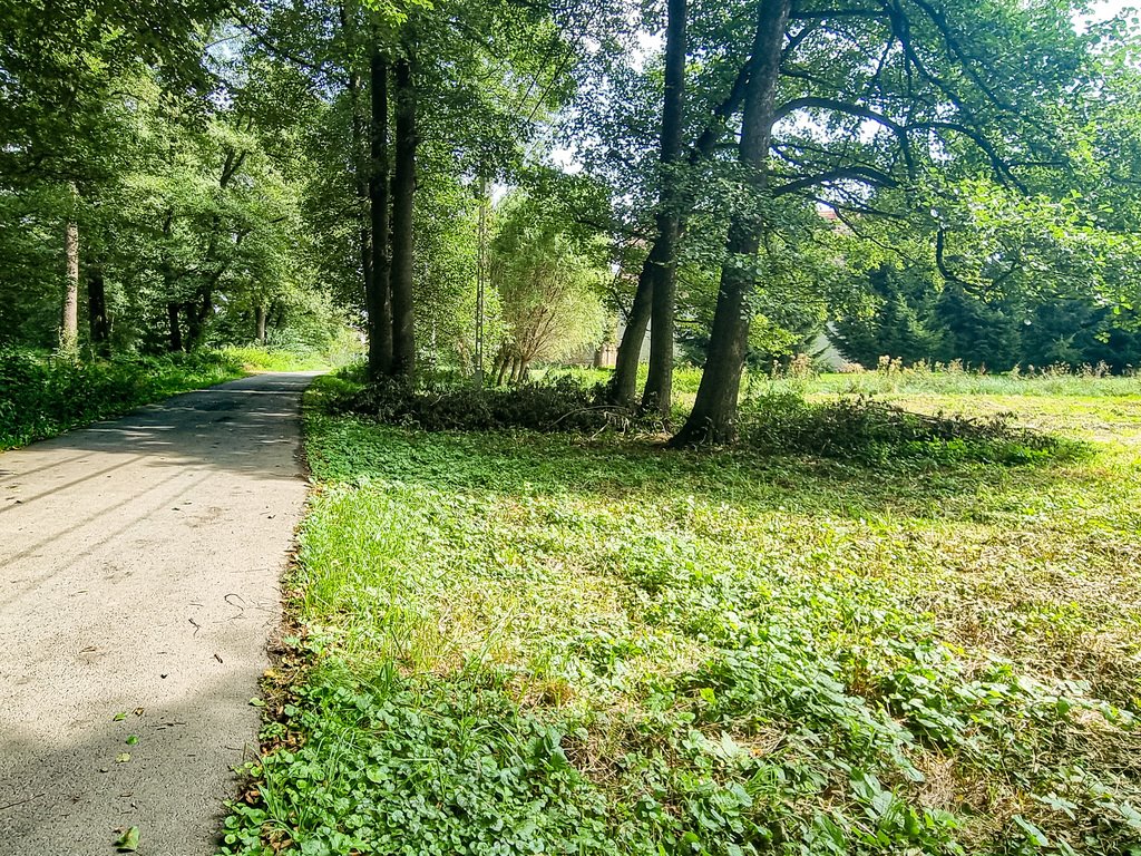 Działka inna na sprzedaż Stary Wielisław  2 800m2 Foto 3