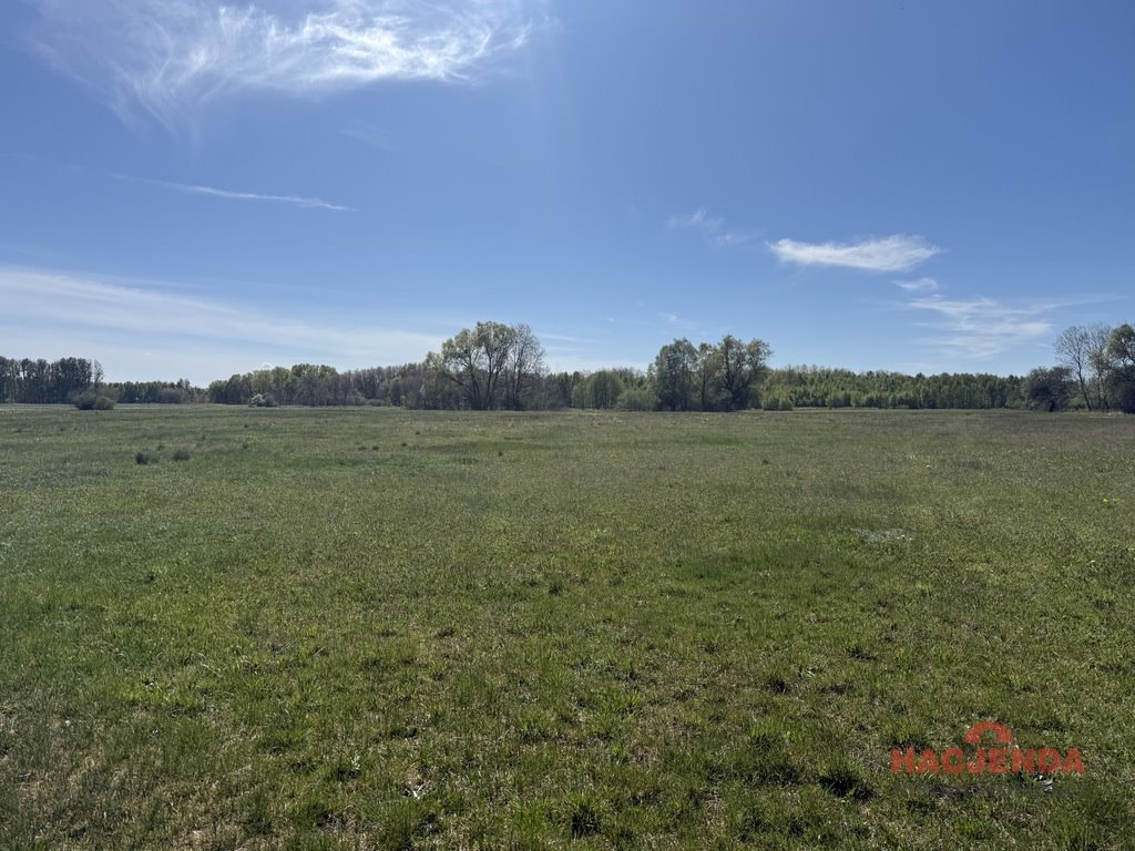 Na sprzedaż działka przemysłowa 9 800 m² z mediami Wieńkowo  9 800m2 Foto 1