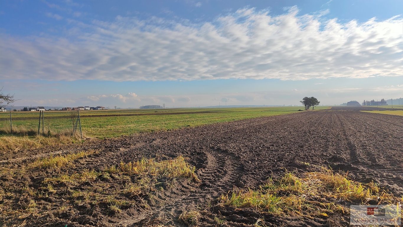 Działka budowlana na sprzedaż Ligota Turawska  3 653m2 Foto 2