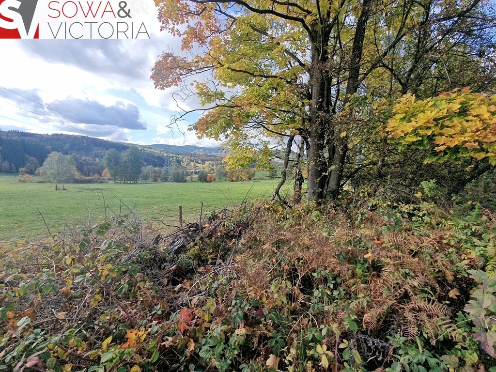Działka inna na sprzedaż Sierpnica  3 000m2 Foto 1