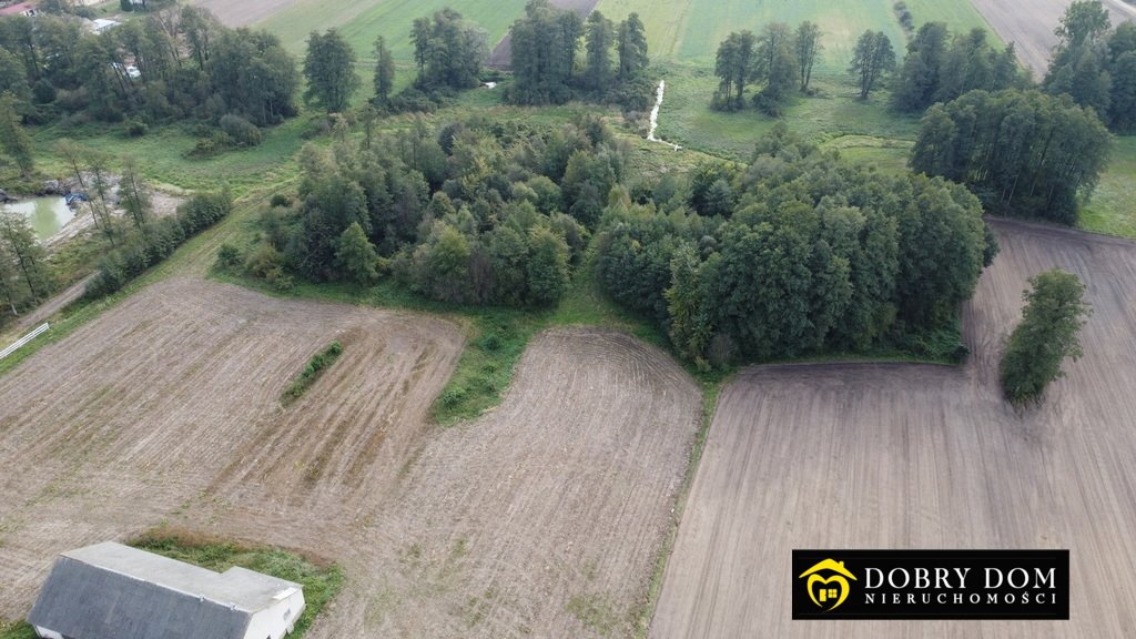 Dom na sprzedaż Krasowo Wielkie  55m2 Foto 4